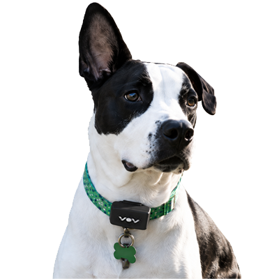 VOV Smart Care Pet Tracker